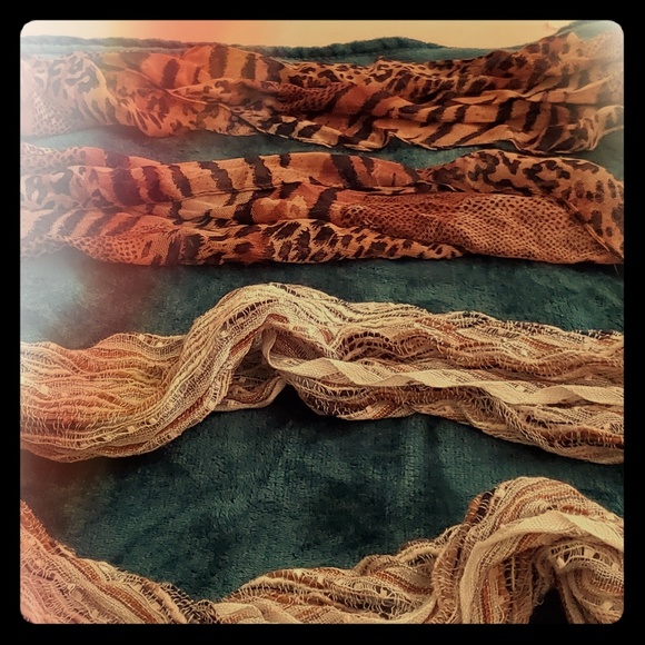 Scarves - Picture 1 of 6